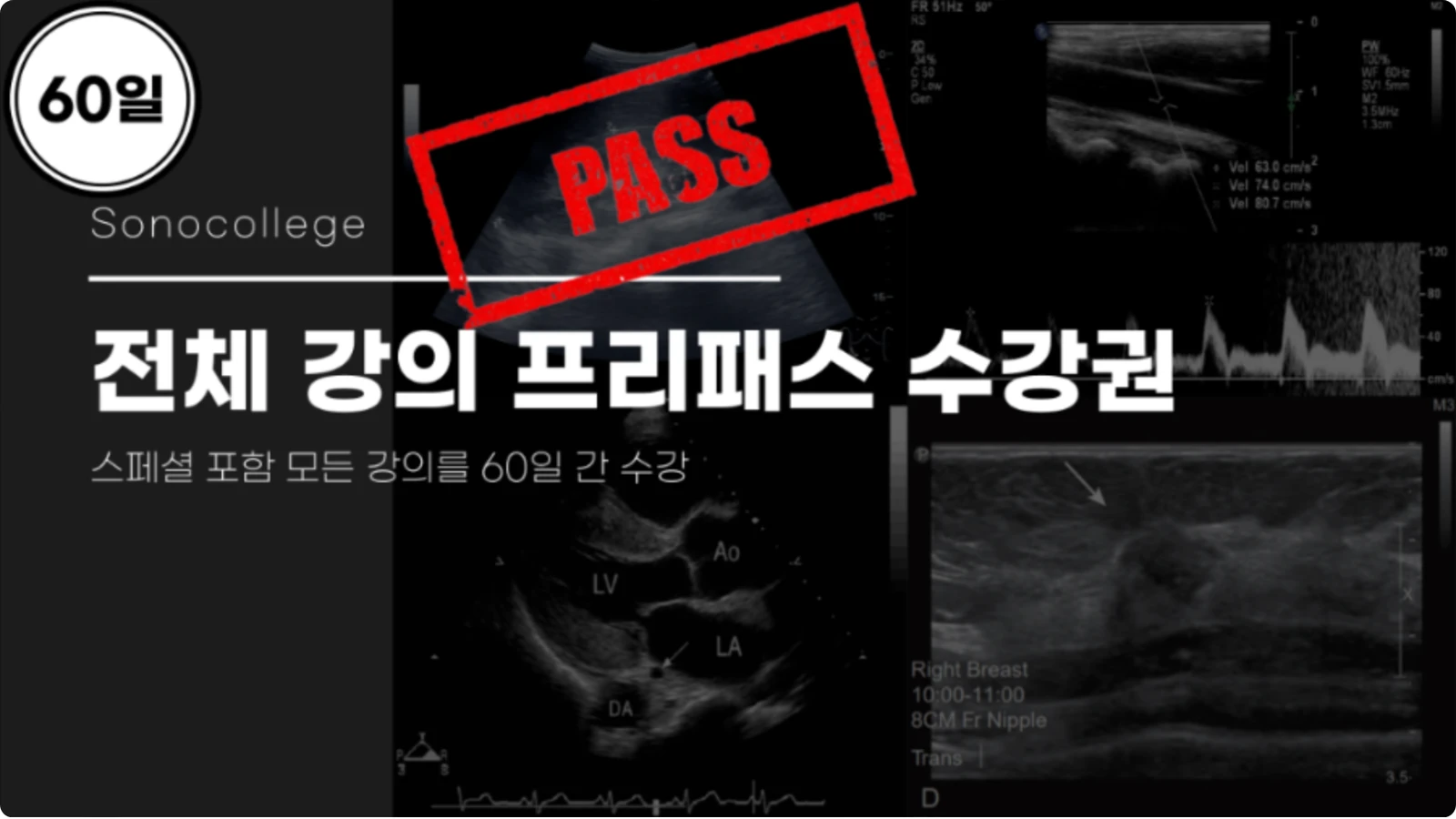 (60일) 프리패스 수강권 썸네일