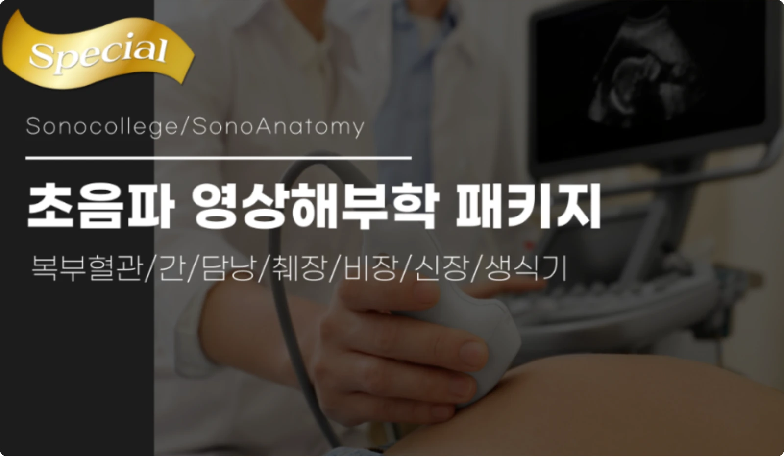 (30일) 초음파 영상해부학 패키지 썸네일