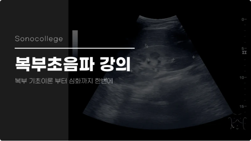 복부초음파 강의 썸네일