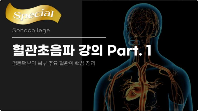 혈관초음파 강의 Part.1 썸네일