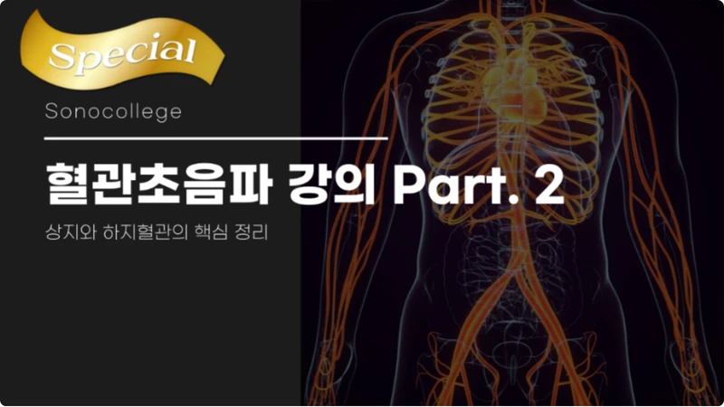 혈관초음파 강의 Part.2 썸네일