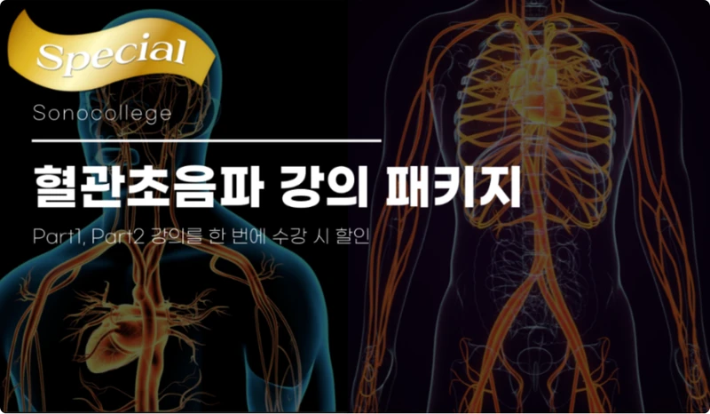 혈관초음파 강의 패키지 썸네일