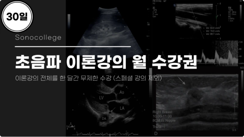(30일) 초음파 이론강의 월 수강권 썸네일