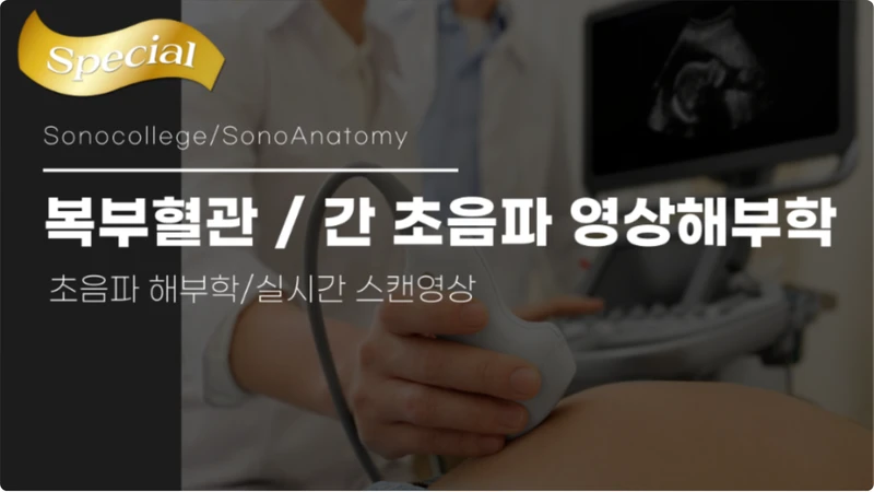 복부혈관/간 초음파 영상해부학 (SonoAnatomy) 썸네일
