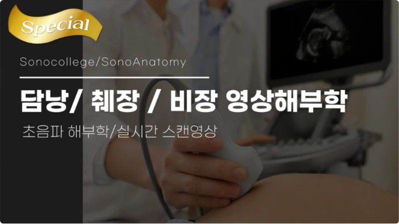 담낭/췌장/비장 초음파해부학 (SonoAnatomy) 썸네일