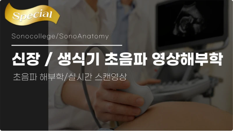 신장/생식기 초음파 영상해부학 (SonoAnatomy) 썸네일