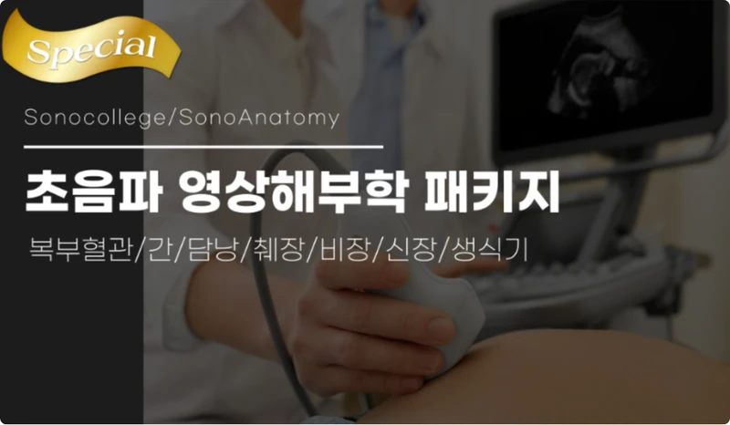 (30일) 초음파 영상해부학 패키지 썸네일