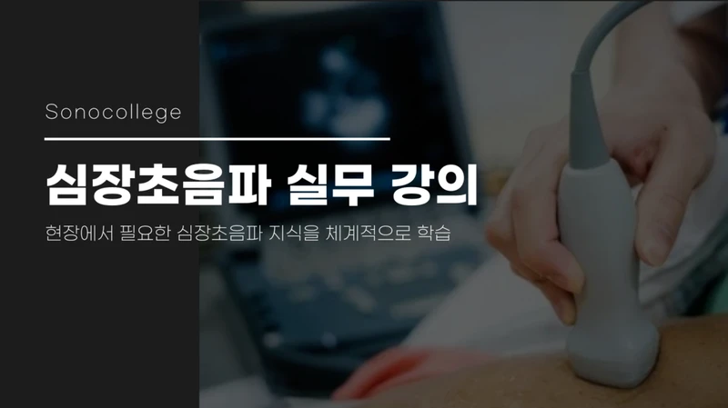 심장 초음파 실무 강의 썸네일