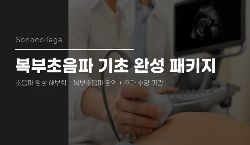 복부초음파 기초 완성 패키지 썸네일