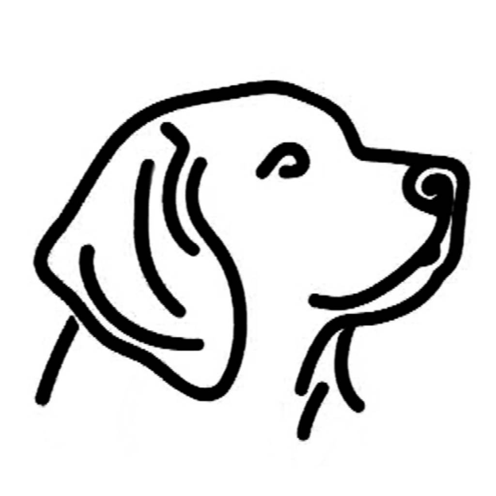 Naver.com Email