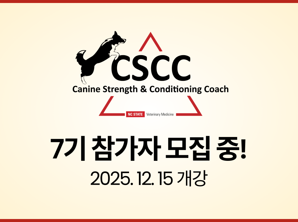 KakaoTalk_Photo_2025-05-30-11-47-27 001.png