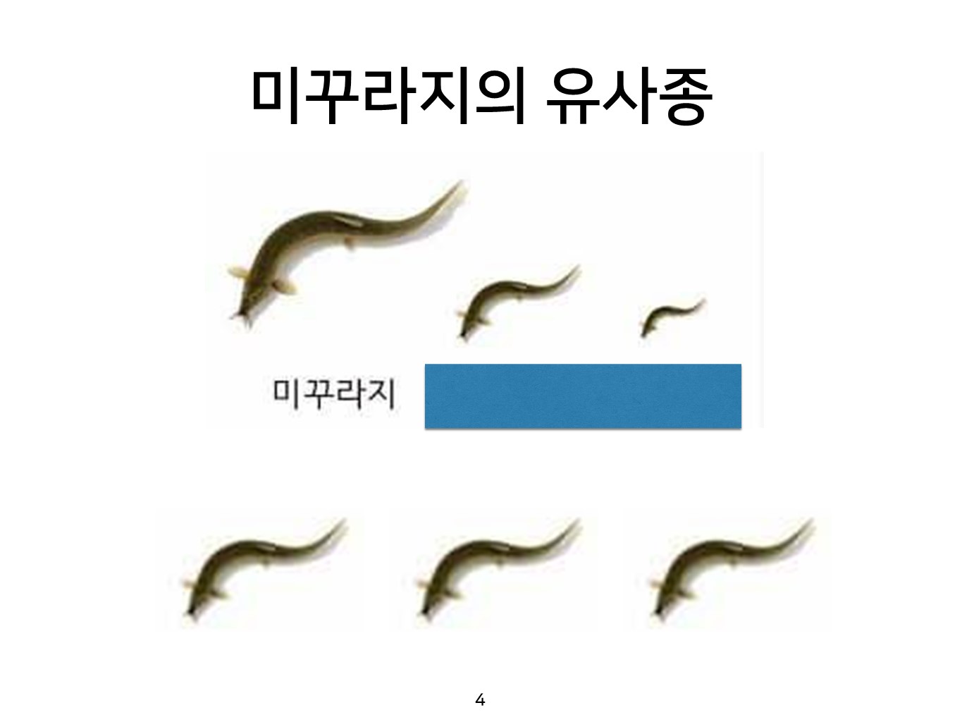 슬라이드4.JPG